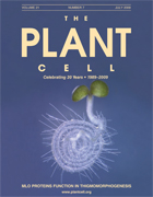 Plant Cell – Chen 2009